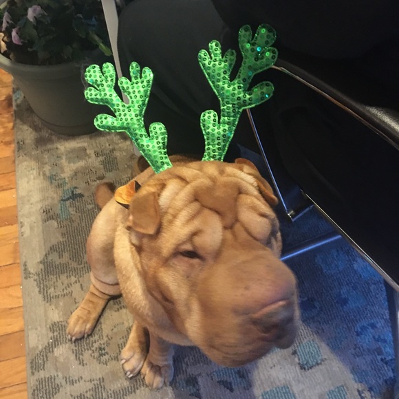 Meet your Posher, John - Picture 1 of 1